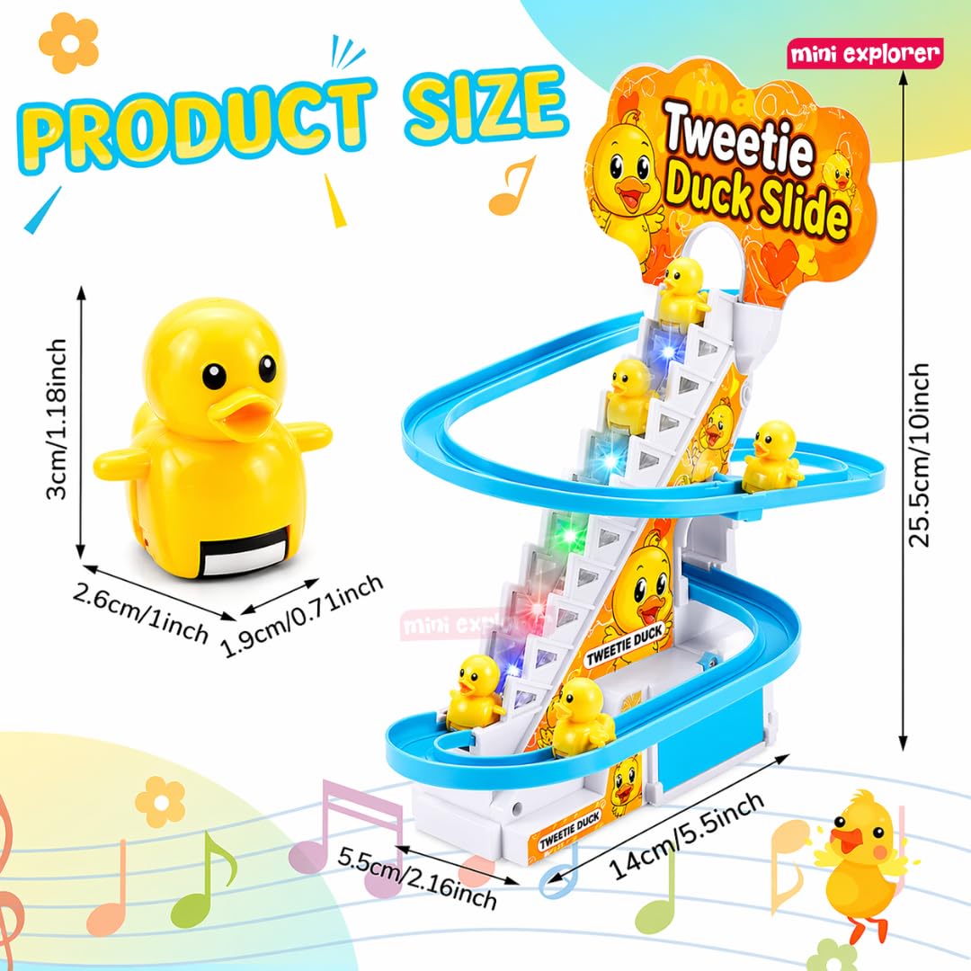 Duck Slide Toy Set