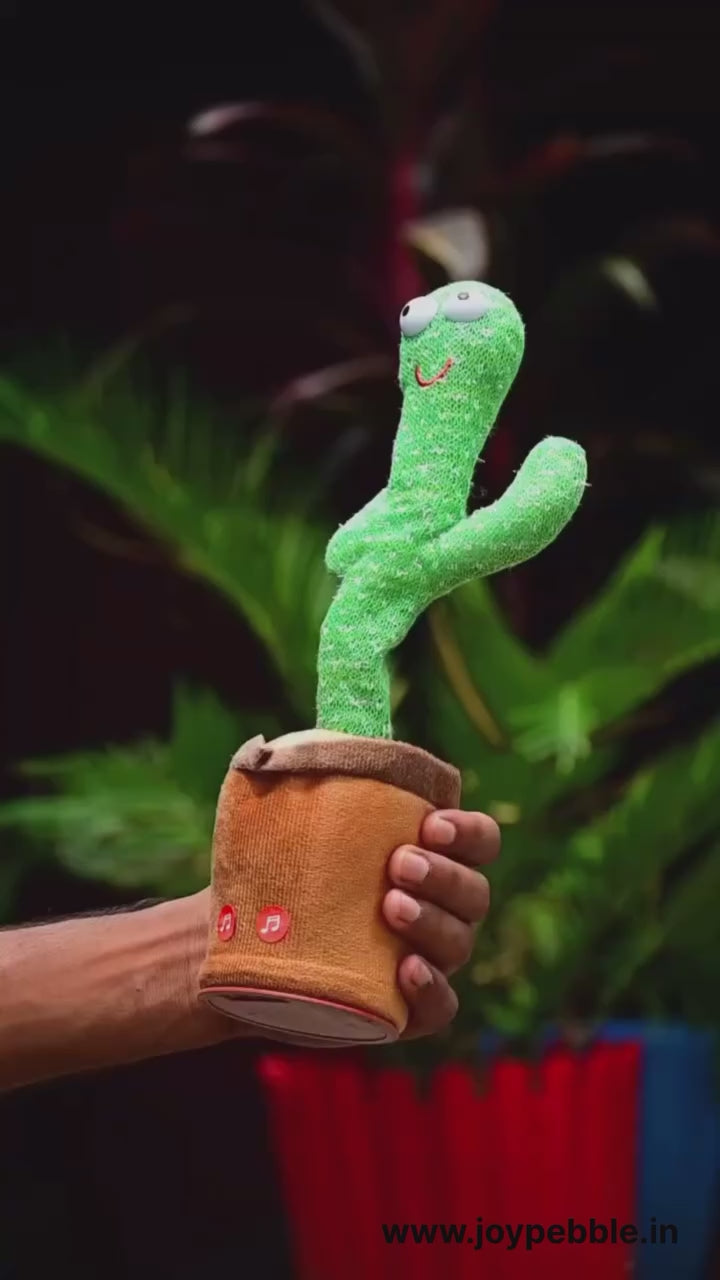 Dancing Cactus Toy
